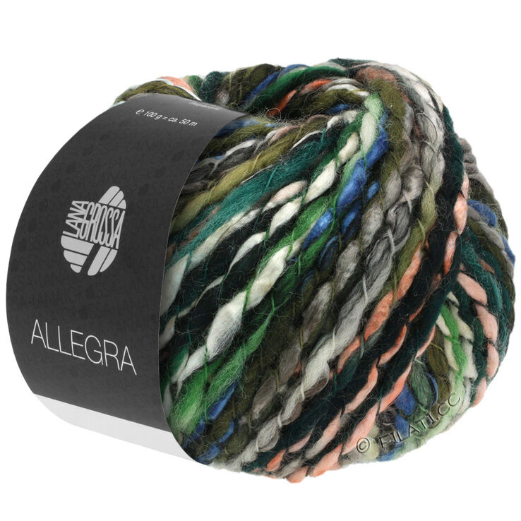 Lana Grossa ALLEGRA | 01-siva/roze/plavo/zelen/bijela