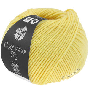 Lana Grossa COOL WOOL Big  Uni/Melange | 1028-zelena žuta