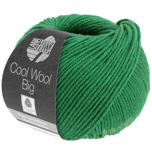 Lana Grossa COOL WOOL Big  Uni/Melange | 0939-tamnozelena
