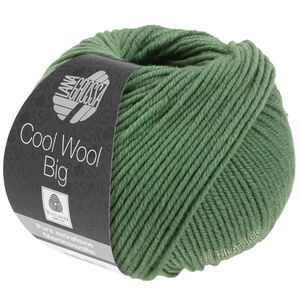 Lana Grossa COOL WOOL Big  Uni/Melange | 0967-resedazeleno