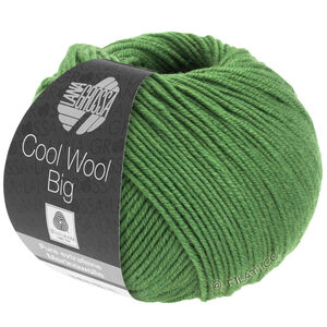 Lana Grossa COOL WOOL Big  Uni/Melange | 0997-list zelene