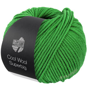 Lana Grossa COOL WOOL Superbig | 26-zelen