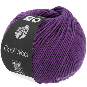 Lana Grossa COOL WOOL | 2109-patlidžan