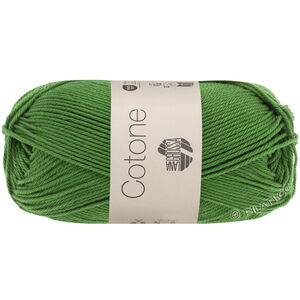 Lana Grossa COTONE | 054-paprat zelena