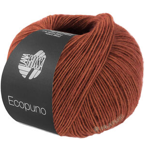 Lana Grossa ECOPUNO | 211-zemlja braon