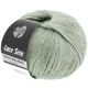 Lana Grossa LACE SETA | 17-zelena siva