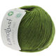 Lana Grossa LANDLUST MERINO 180 (GOTS & ICEA) | 217-zelen