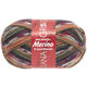 Lana Grossa MEILENWEIT 6-STRUKO 150g Merino Print | 9169-