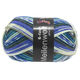 Lana Grossa MEILENWEIT 6-FACH 150g Apache | 9493-