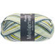 Lana Grossa MEILENWEIT 100g Fondo | 7878-