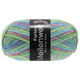Lana Grossa MEILENWEIT 100g Furioso | 1766-