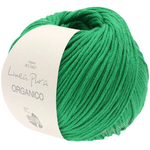 Lana Grossa ORGANICO (Linea Pura) | 129-zelen