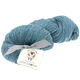 Lana Grossa SLOW WOOL LINO | 21-sivo plava
