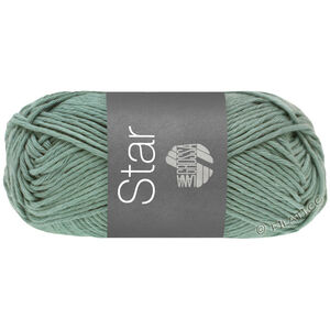 Lana Grossa STAR | 114-mint sive boje