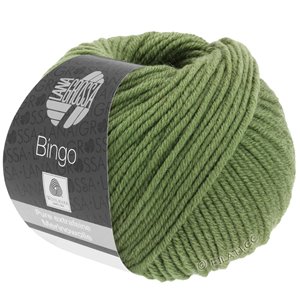 Lana Grossa BINGO  Uni/Melange | 742-maslinovo zeleno