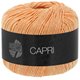 Lana Grossa CAPRI | 41-marelica