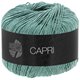 Lana Grossa CAPRI | 45-