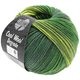 Lana Grossa COOL WOOL Degradé | 6011-žuta zelena/tamnozelena/siva zelena