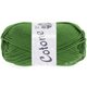 Lana Grossa COTONE | 054-paprat zelena