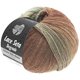 Lana Grossa LACE Seta Dégradé 50g | 115-priroda/zelena siva/nugat/čokolada smeđa
