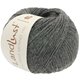 Lana Grossa LANDLUST Alpaka Merino 160 | 408-tamno siva