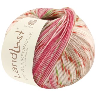 Lana Grossa LANDLUST DIE SOCKENWOLLE