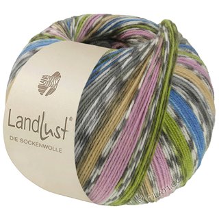 Lana Grossa LANDLUST DIE SOCKENWOLLE