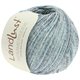 Lana Grossa LANDLUST SOMMERSEIDE Mélange | 106-menta/farmerke/siva
