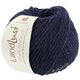 Lana Grossa LANDLUST WINTERWOLLE | 31-noć Plava prosarana