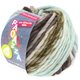 Lana Grossa LEI Mouliné/Color Mix/Spray (Ispuštanje u boji) | 162-ecru/sivo smeđa/antracit