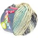 Lana Grossa LEI Mouliné/Color Mix/Spray (Ragazza) | 262-svjetlo bež/ecru/siva/menta/umbra