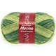 Lana Grossa MEILENWEIT 6-STRUKO 150g Merino Print | 9063-