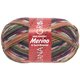 Lana Grossa MEILENWEIT 6-STRUKO 150g Merino Print | 9169-