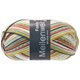 Lana Grossa MEILENWEIT 100g Fondo | 7875-