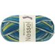Lana Grossa MEILENWEIT 100g Nessel Everest | 5136-