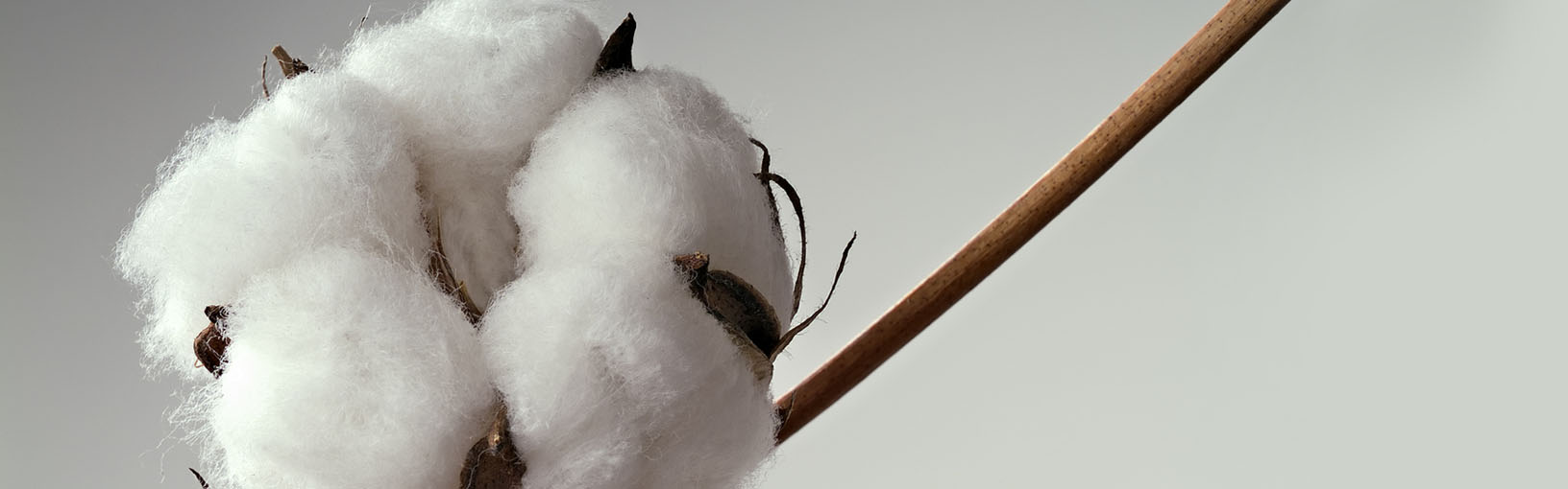 Visokokvalitetne pređe za pletenje, kukičanje i filc Lana Grossa Vune | Carapevuna | Hand-dyed