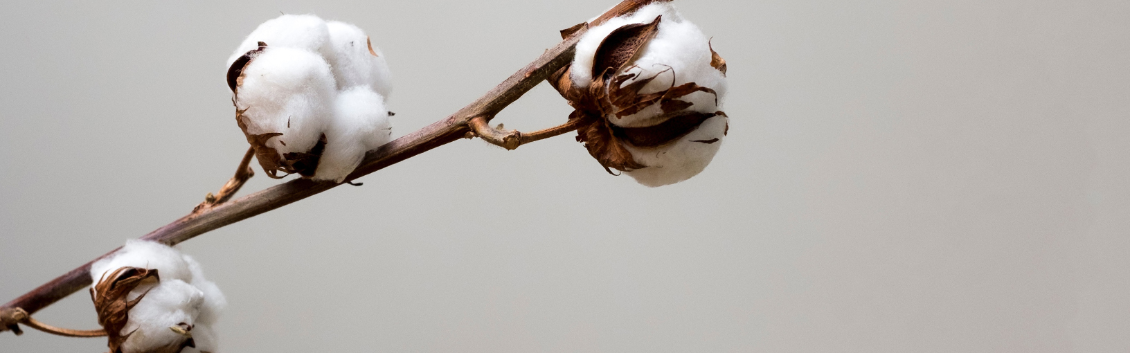 INOVATIVNO, ERGONOMSKO - NAJVIŠI KVALITET Lana Grossa Igle | Kružno pletenje iglice | Dizajnirajte drveni signal